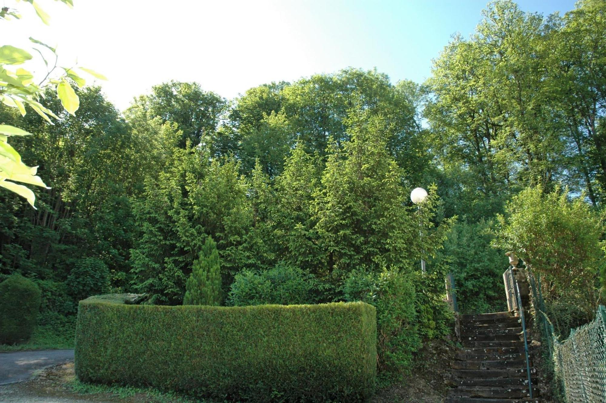 Hotel Et Studios D'Orfeuil 波旁莱班 外观 照片