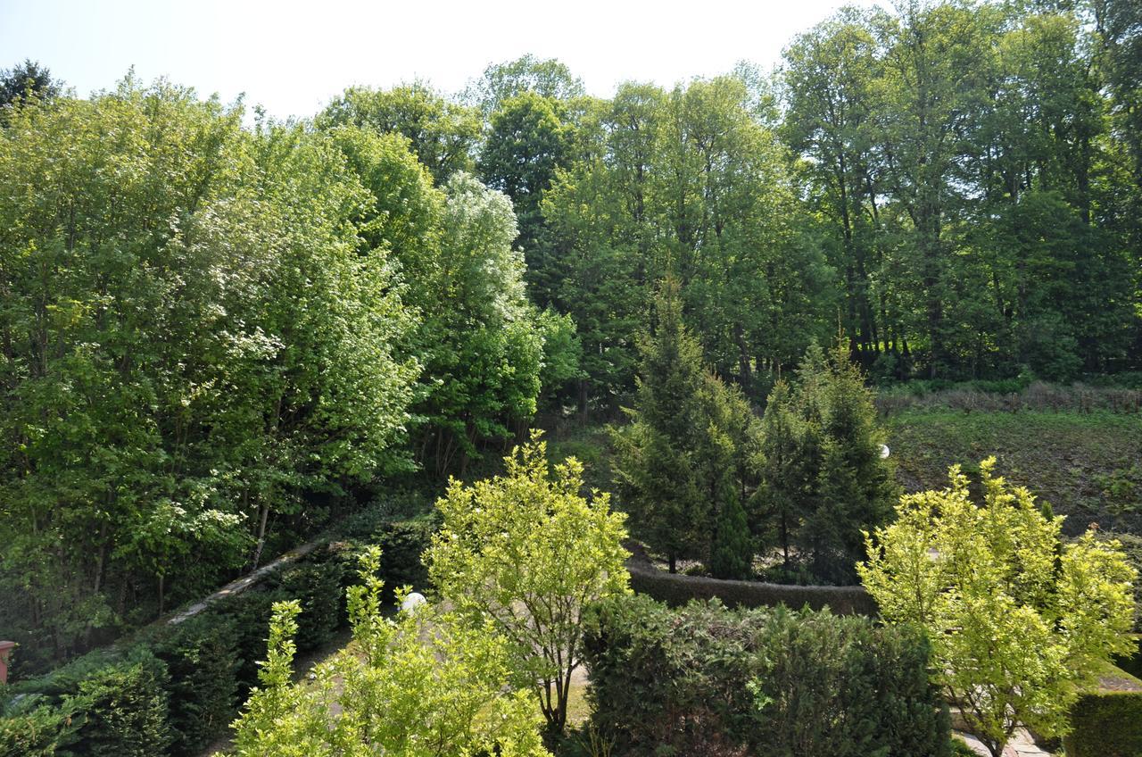 Hotel Et Studios D'Orfeuil 波旁莱班 外观 照片